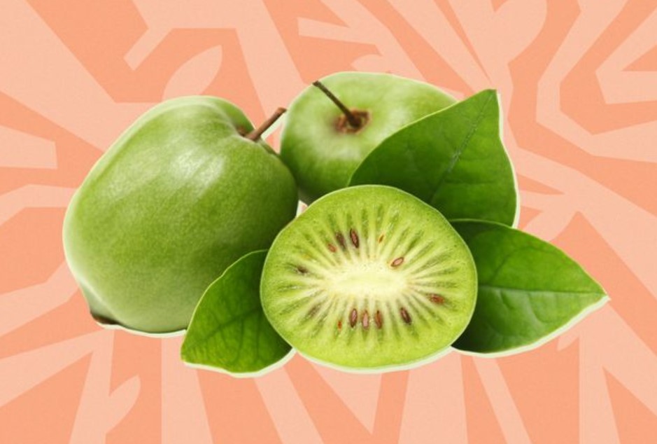 Що таке актинідія і в чому її користь