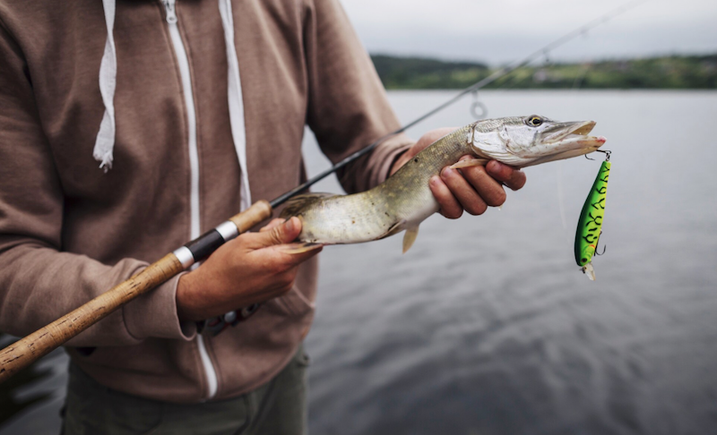 Коли святкують День рибалки в Україні і світі