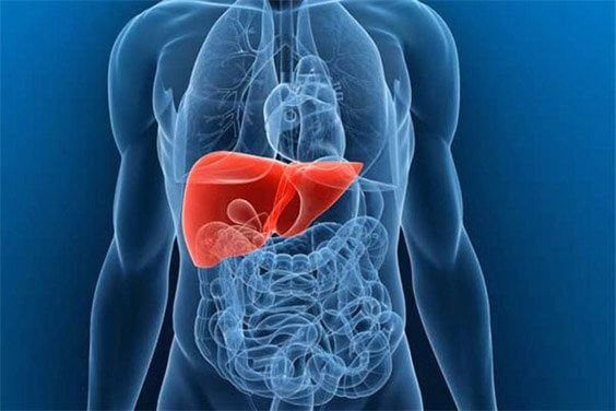 Захворювання печінки: причини, симптоми та підходи до лікування