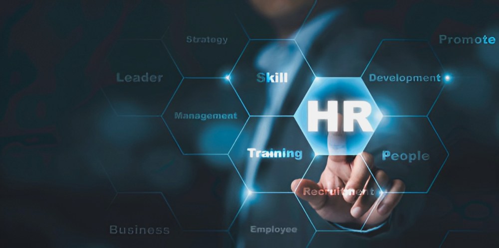 Какие знания и навыки дают курсы для HR